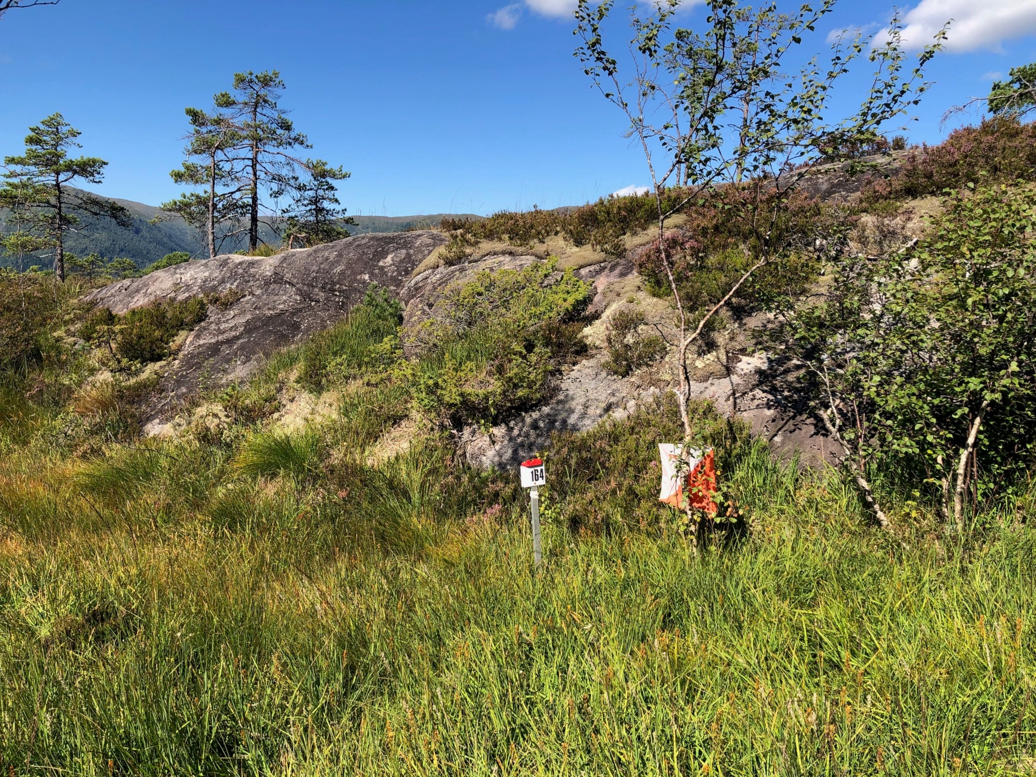 4-dagers Geilo - o-troll